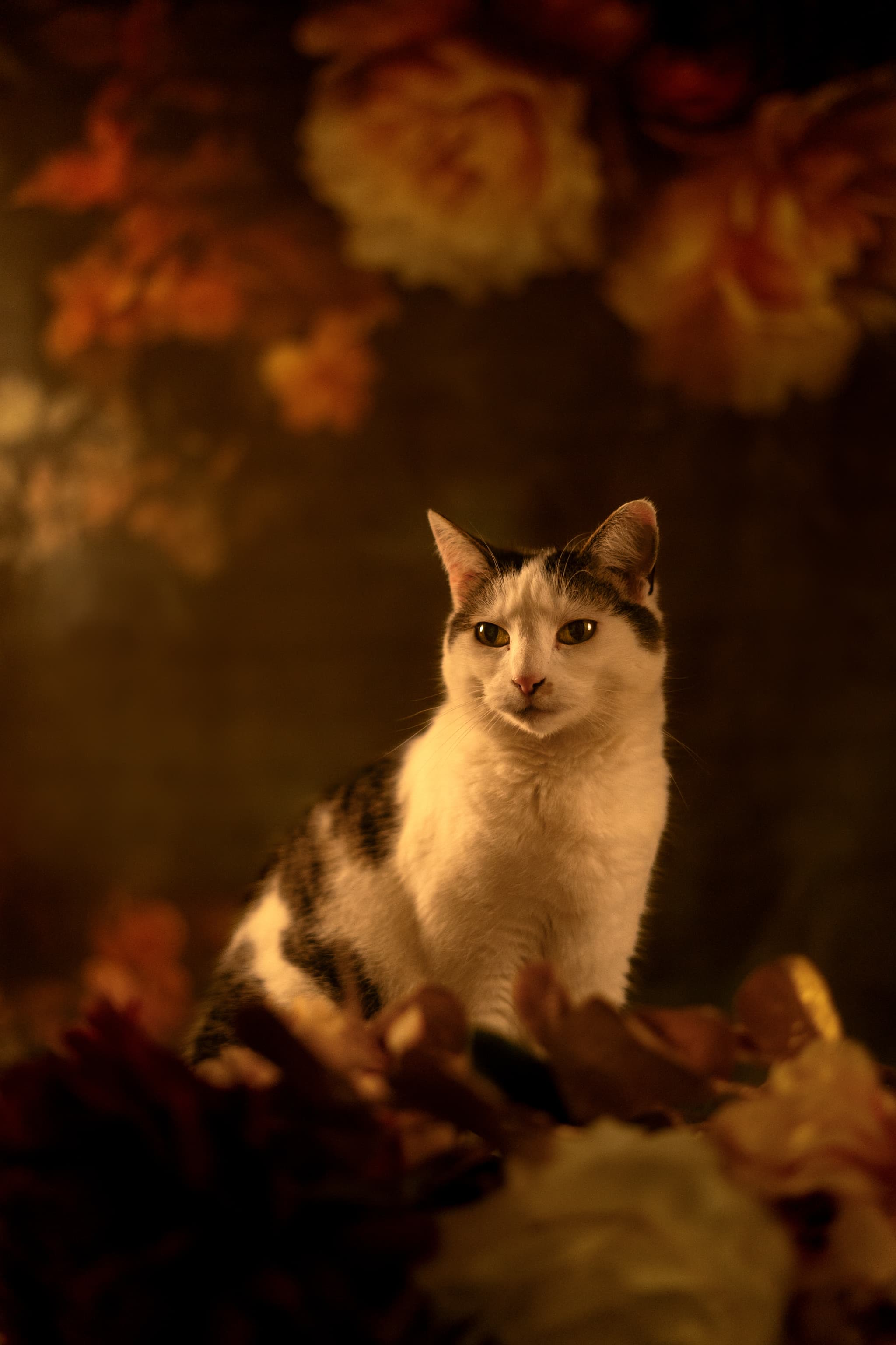 Détail pelage animal