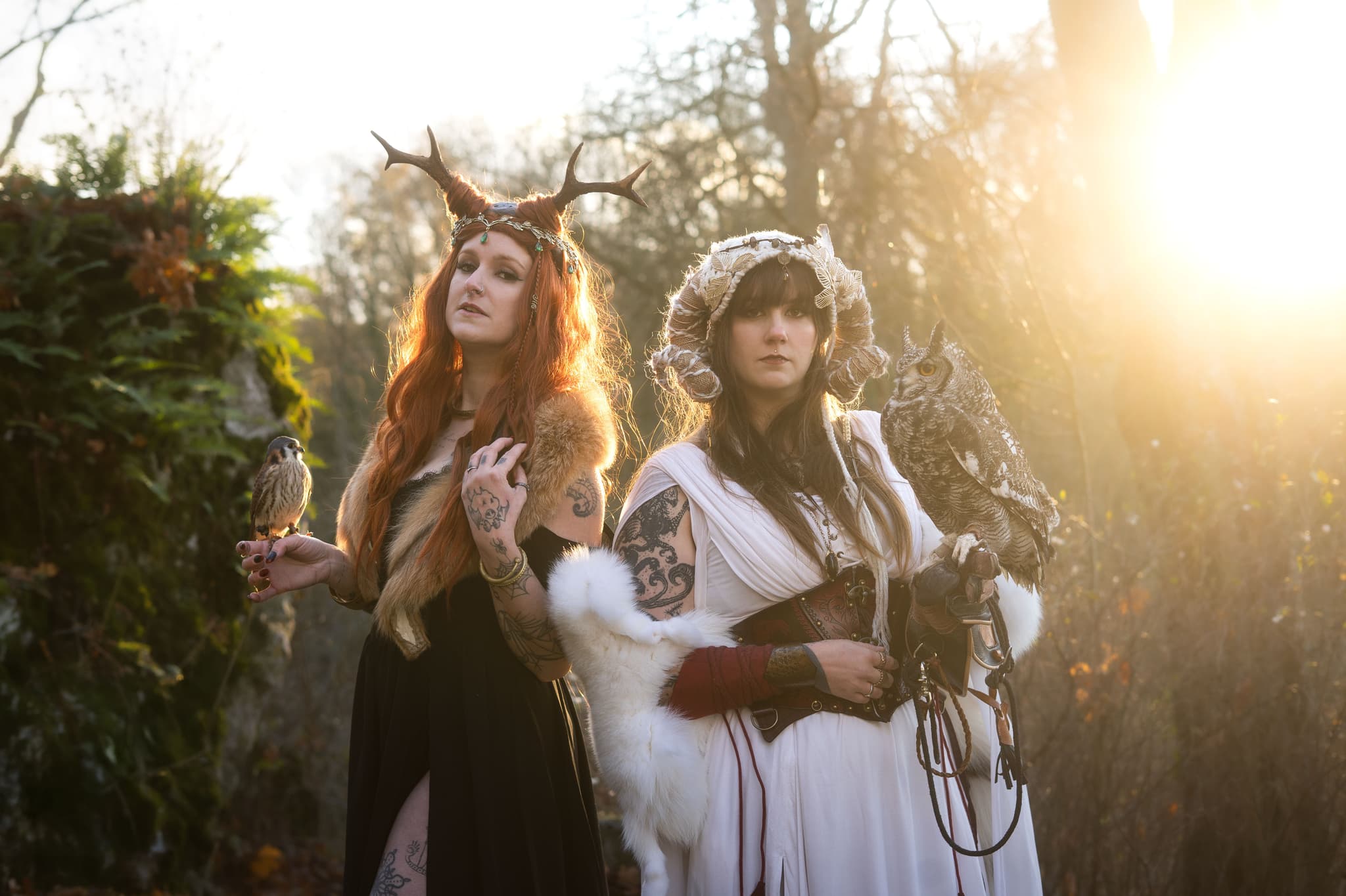 Portrait animalier Fine Art