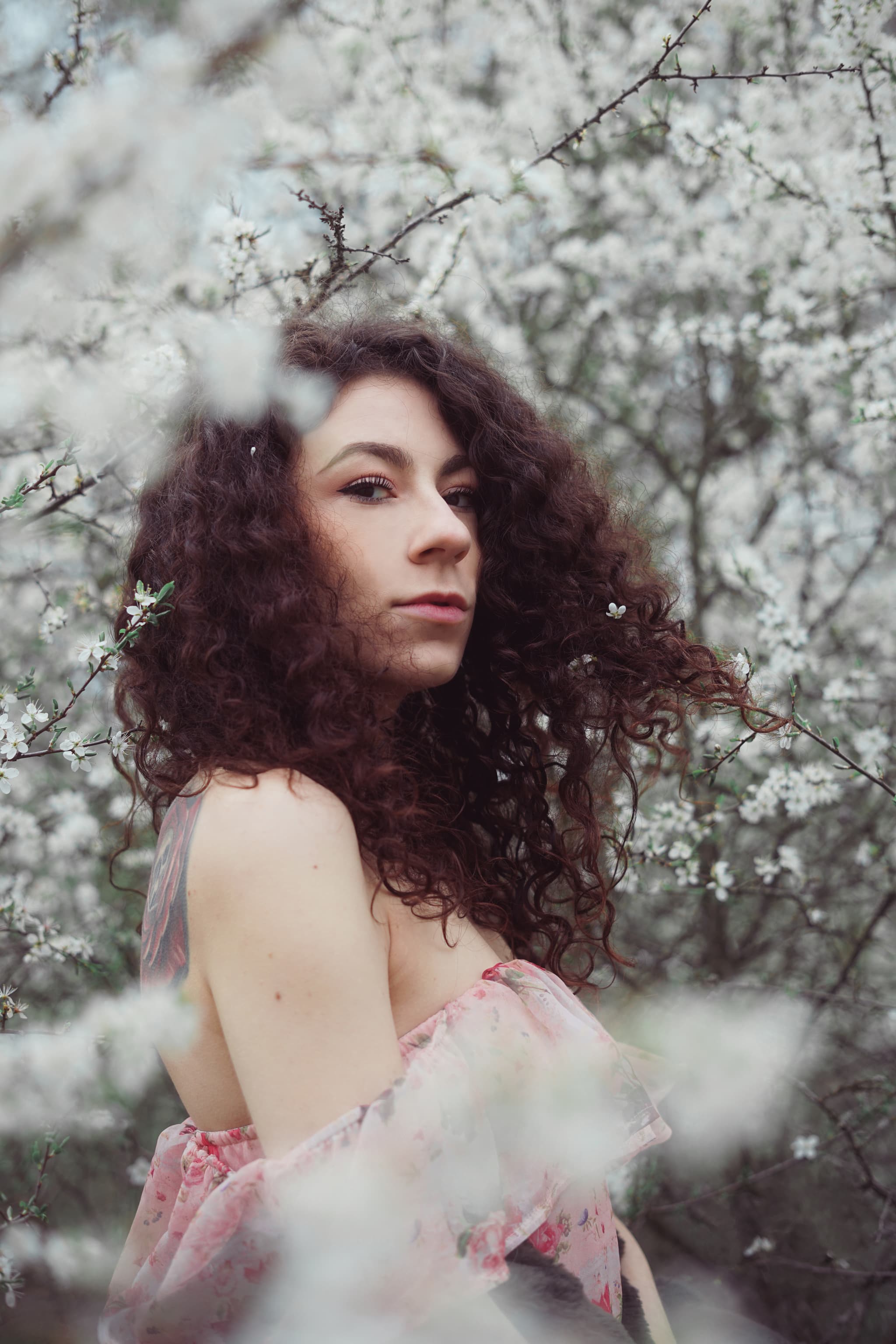 Shooting photo nature lumière naturelle