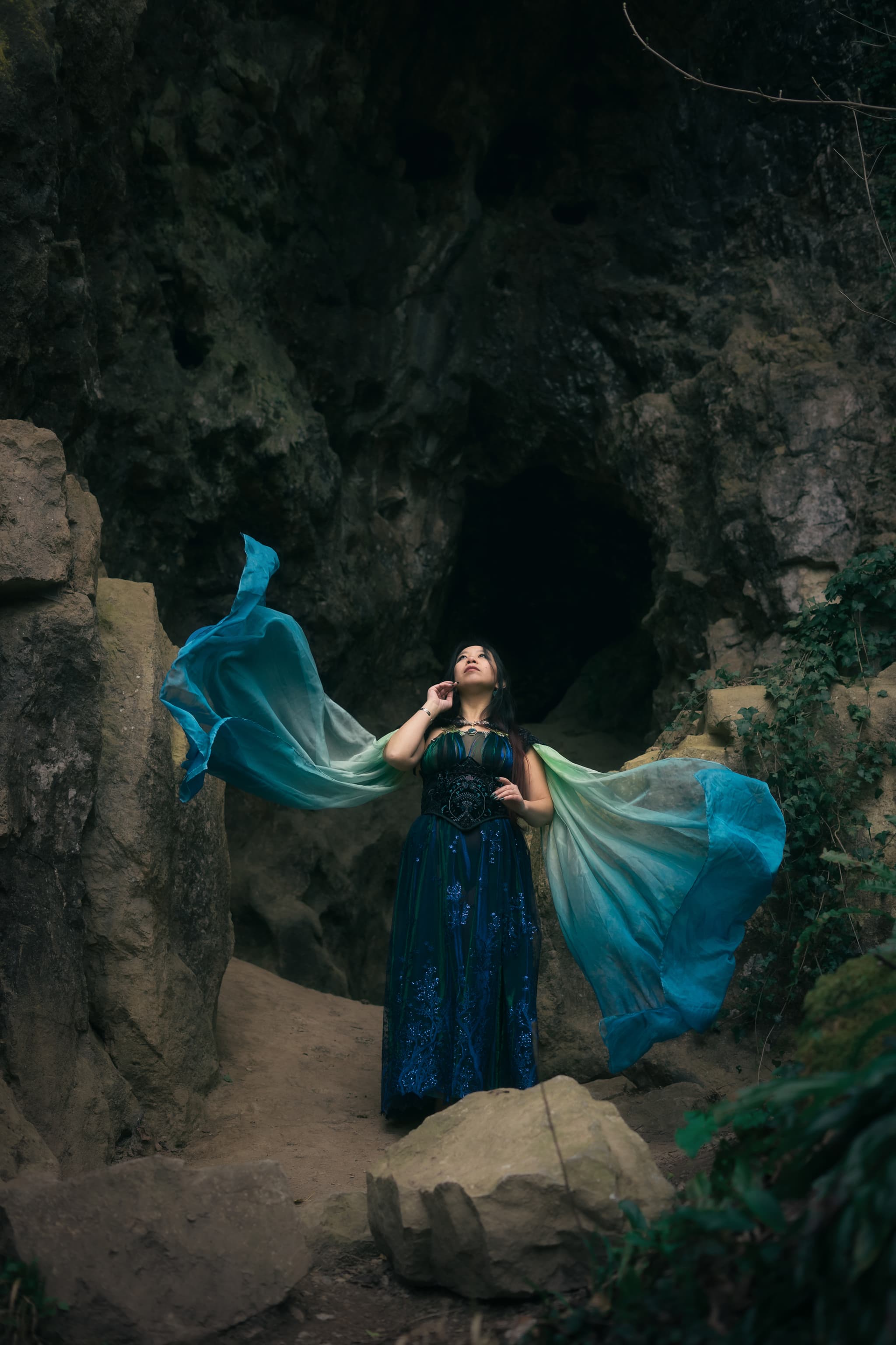 Texture végétale et lumière